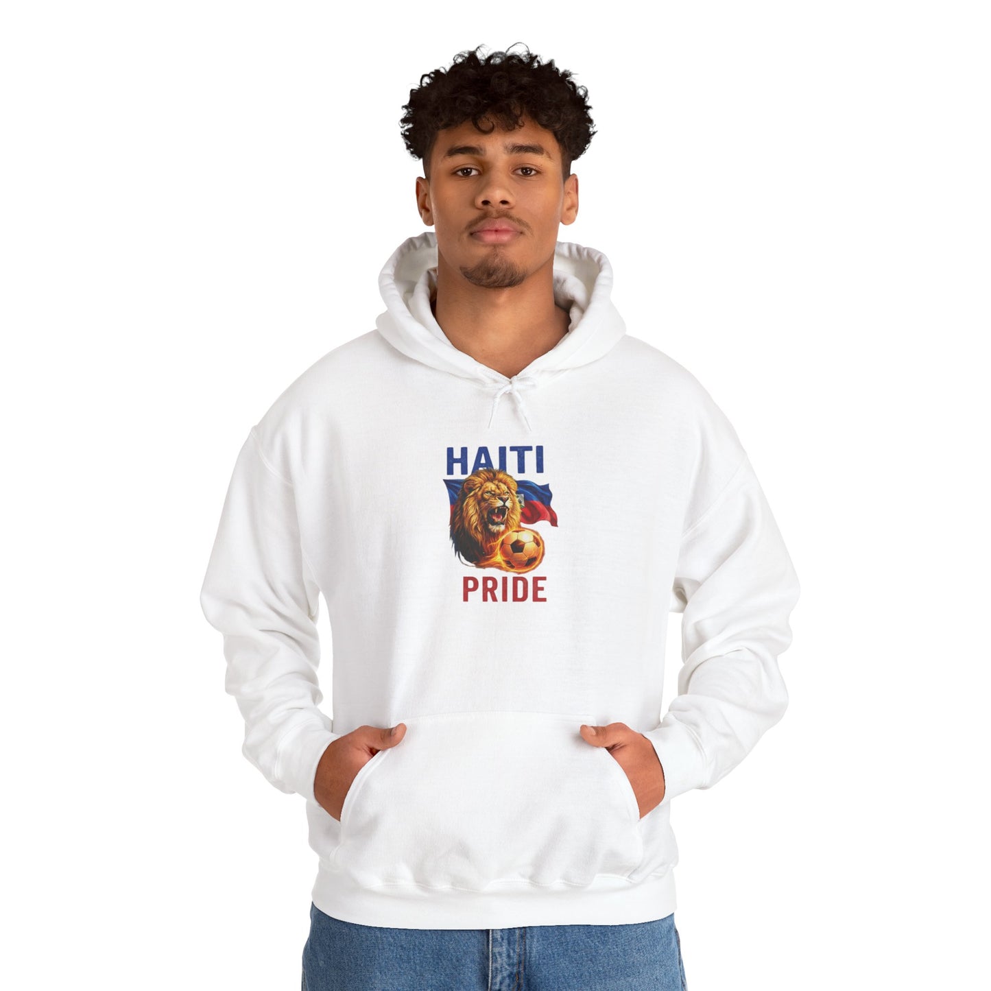 Haiti Pride Hoodie — Lion & Flag Graphic Pullover
