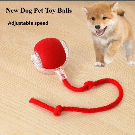 Rechargeable Smart Rolling Ball – Interactive Electric Toy for Cats & Small Dogs (Simulated Tail)